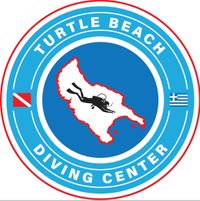 LOGO Turtle Beach